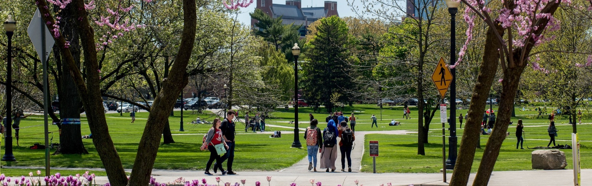 Students Walking Oval 3